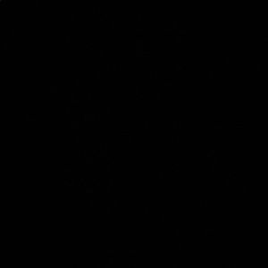 Meet your Posher, Sofia